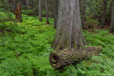 British Columbia