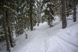 SnowShoeing and Cross Country Skiing