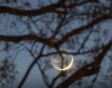 Setting Waning Gibbous Moon