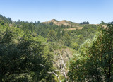 Windy Hills