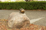 Nuts about Saratoga!