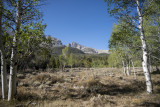 Wheeler Peak