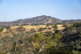 Burned hills