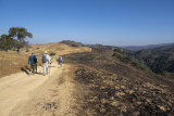 The Fire Road did its job