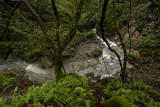 Congress Springs Canyon Creek