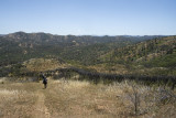 Hike in the Wilderness