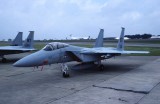 USAF F15A 60011 BT 36 TFW.jpg