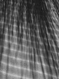 Beach grass shadow on dune ripples