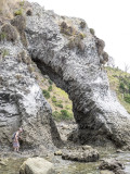 Mangawhai Cliff walk