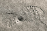 sand features