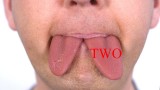 tongues 2.jpg