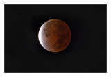 Lunar Eclipse