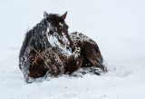 DSC_5718a.jpg