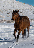 DSC_6360aC.jpg