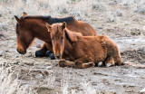 DSC_7214a.jpg
