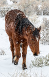 DSC_8076a.jpg