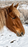 DSC_8725a.jpg