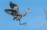 DSC_0657a.jpg