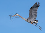 DSC_1288a.jpg