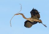 DSC_2433a.jpg