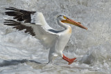 DSC_2162a.jpg