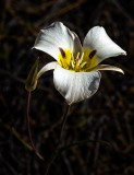 DSC_5907b.jpg