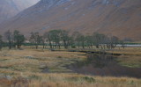 Mouth of Loch Etive