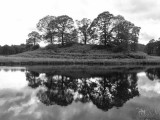 Lake District Elterwater B&W