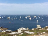 Voiliers - anciens et nouveaux - grands et petits