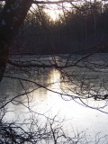 Frozen pond in the late afternoon