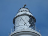 Starlings parked on St Marys lighthouse in Whitley Bay