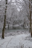 Partially frozen pond - tang Ligeois