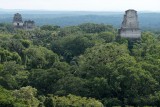 View from Temple IV