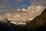 DSC05281.jpg