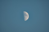Moon over North Bend 8/15/2021