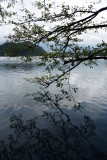 Lake Bled