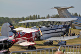 k9736.jpg