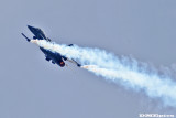 k9779.jpg