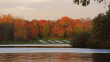 _MG_6297A.jpg