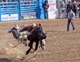 The Tucson Rodeo