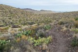 Upper Burro Mesa Pour-off Trail 1