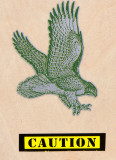 Falconry