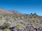 20140424_Death Valley_0213.jpg