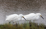 20190430_Bear River_0084.jpg