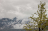 20190430_Bigham City_0340.jpg
