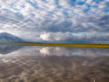20190501_Bear River_0716.jpg