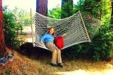 Hammock