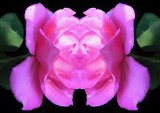 Pink Bear Mask