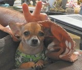 Yuba Bob and Bug