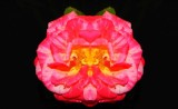 Rose Totem Mask